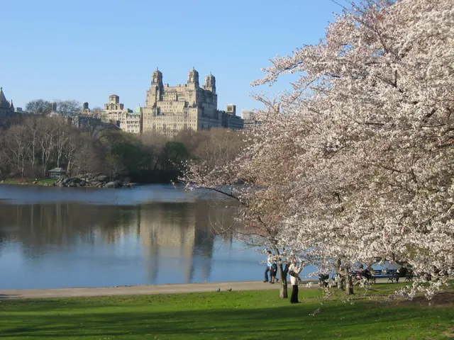 The Lake in Central Park