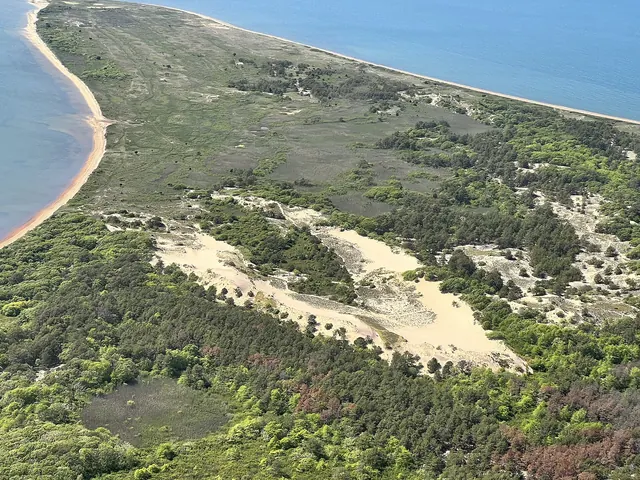 The Walking Dunes, Hither Hills State Park
