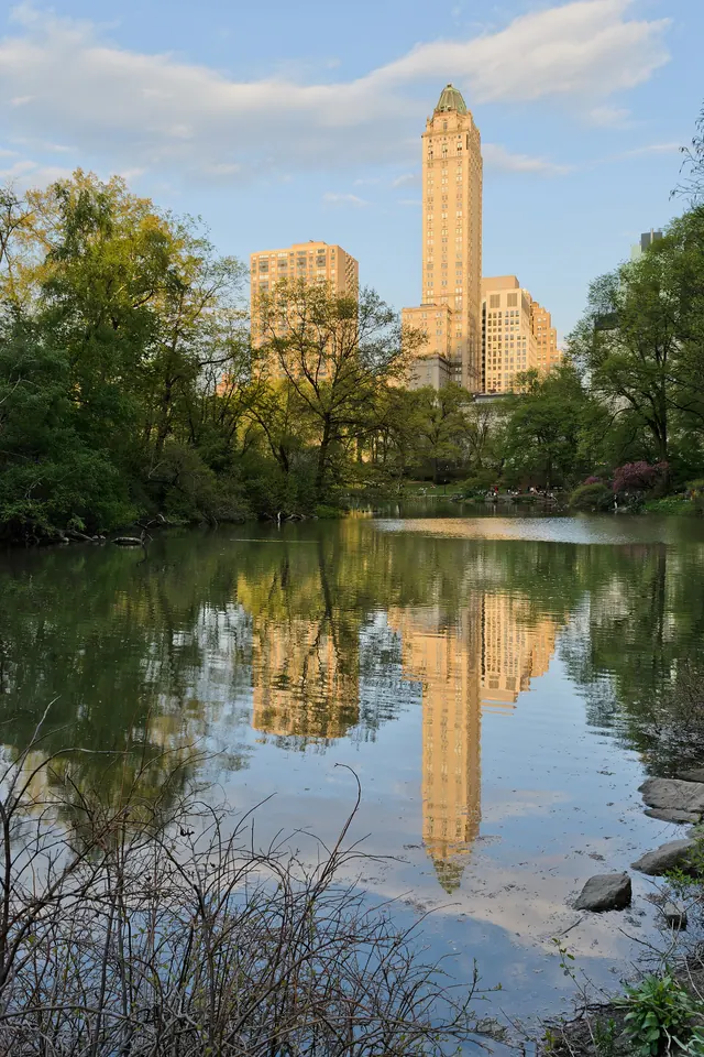 The Pierre and Fifth Avenue, seen from Central Park